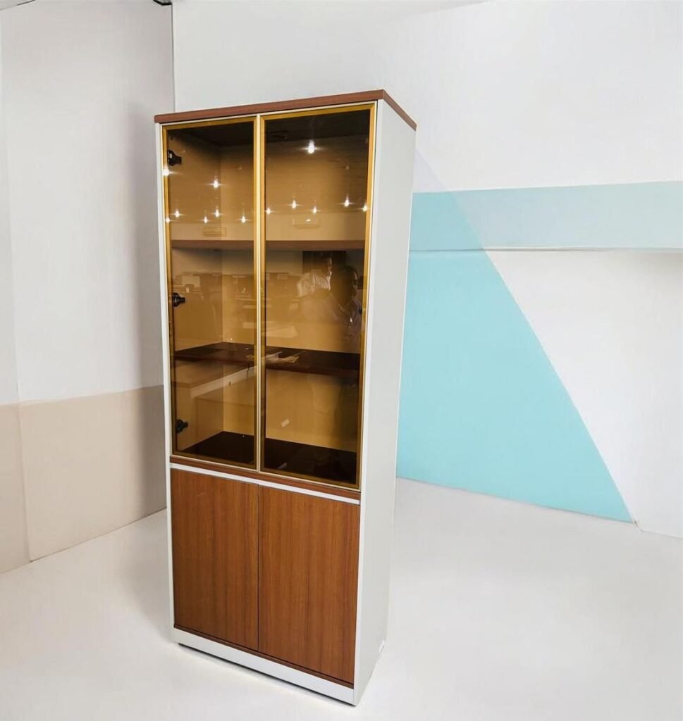 خزانة ملفات ومستندات مكتبية فاخرة (Office Display Cabinet)
